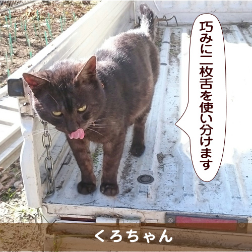 20170509_touko.jpg
