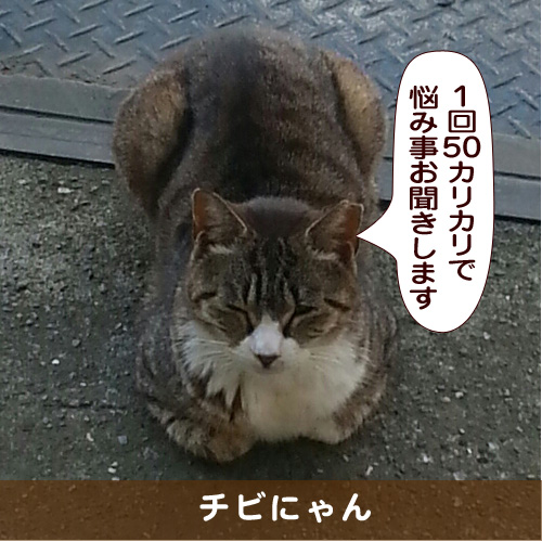 20170510_touko.jpg