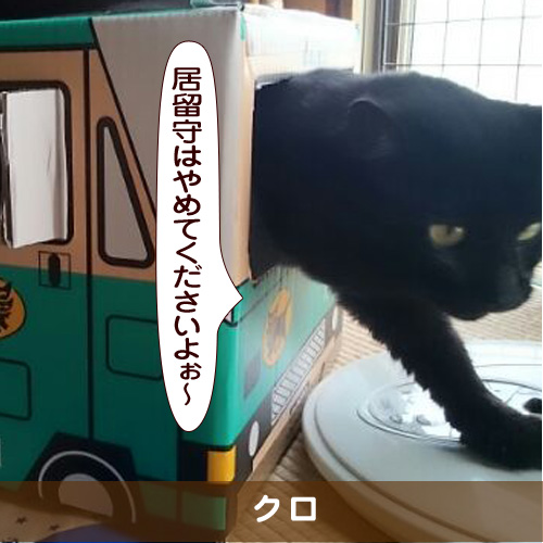 20170511_touko.jpg