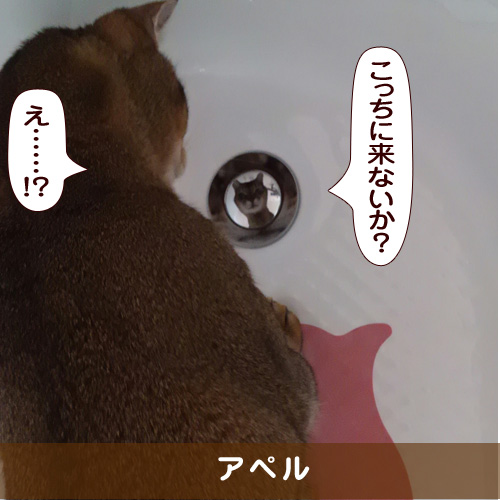 20170512_touko.jpg