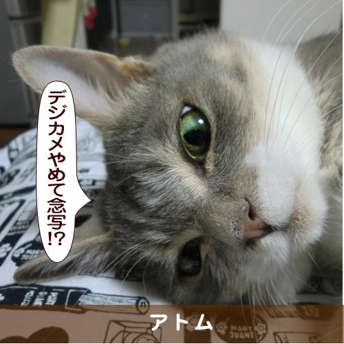 20170513_touko.jpg