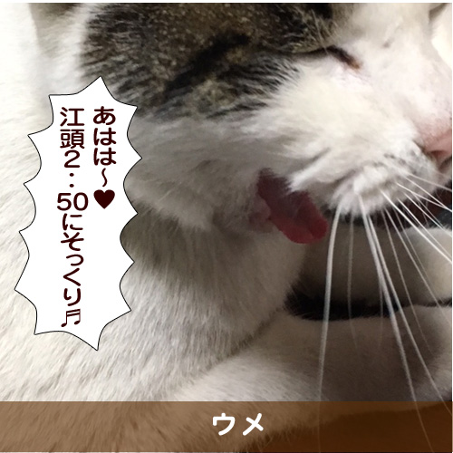 20170514_touko.jpg