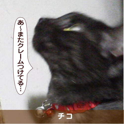20170516_touko.jpg