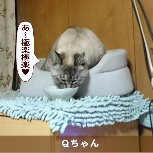 20170517_touko.jpg
