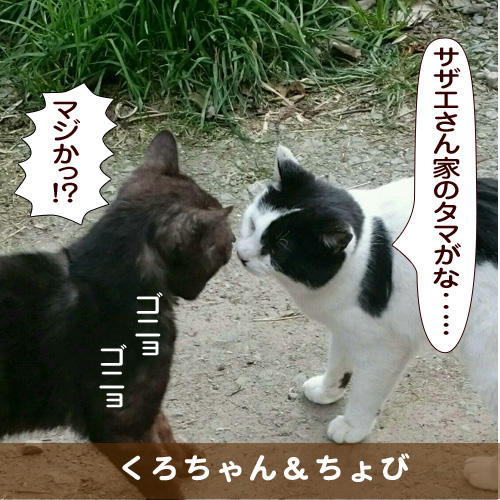 20170518_touko.jpg