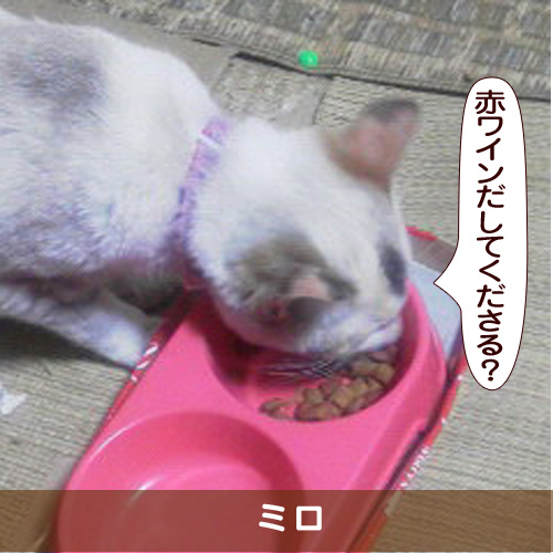20170519_touko.jpg