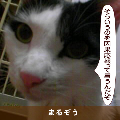20170520_touko.jpg