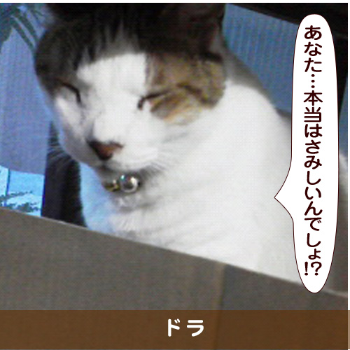 20170521_touko.jpg
