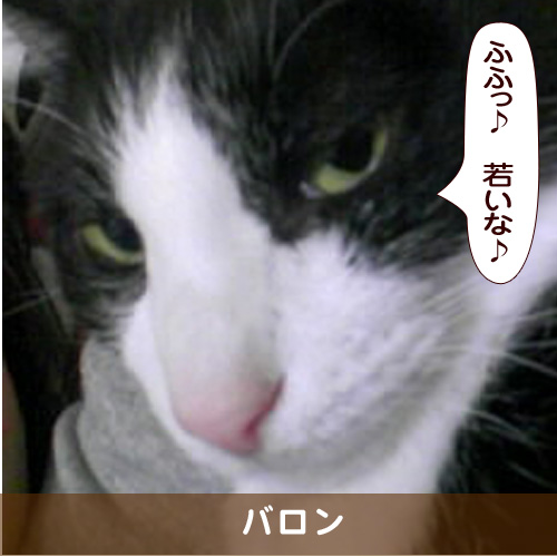 20170522_touko.jpg