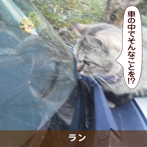 20170523_touko.jpg