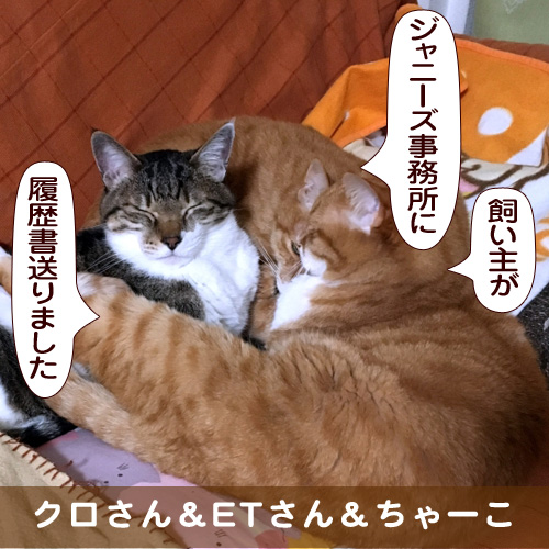 20170528_touko.jpg