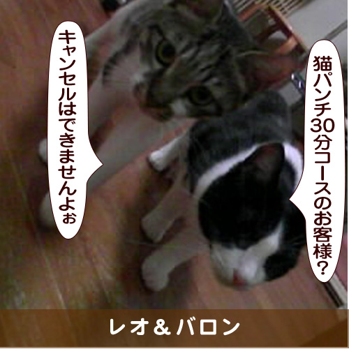 20170530_touko.jpg