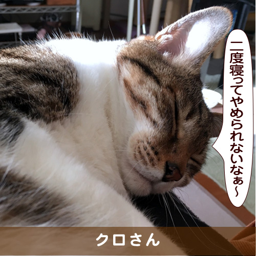 20170531_touko.jpg