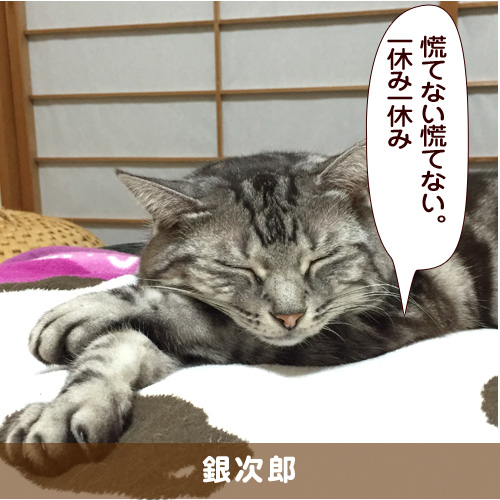 20170602_touko.jpg
