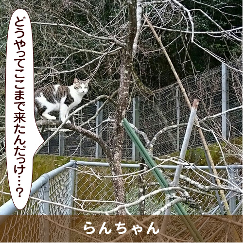 20170603_touko.jpg