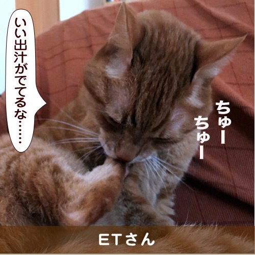 20170604_touko.jpg