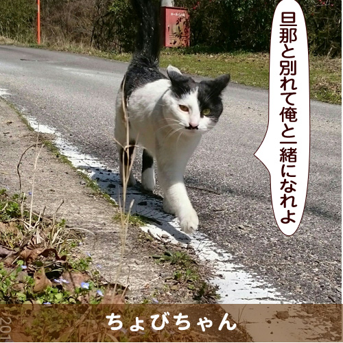 20170606_touko.jpg