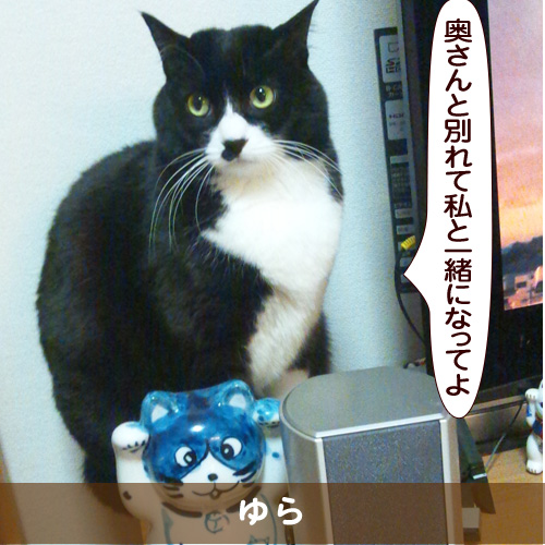 20170607_touko.jpg