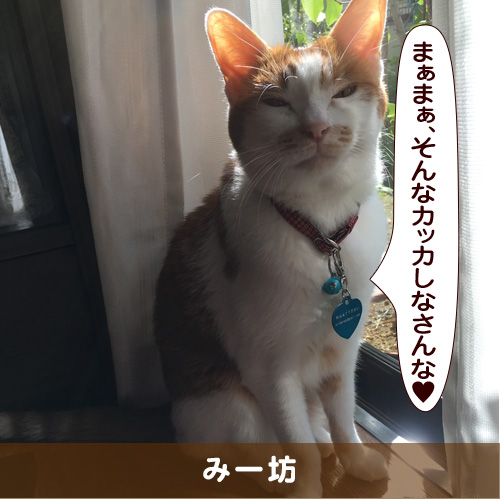 20170610_touko.jpg