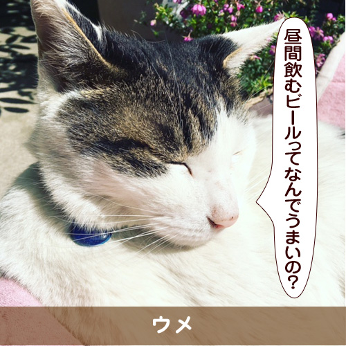 20170611_touko.jpg