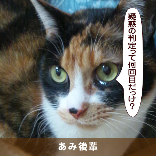 20170612_touko.jpg