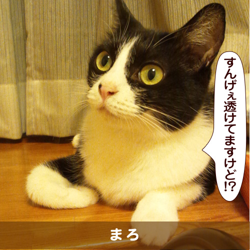 20170614_touko.jpg