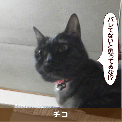 20170616_touko.jpg