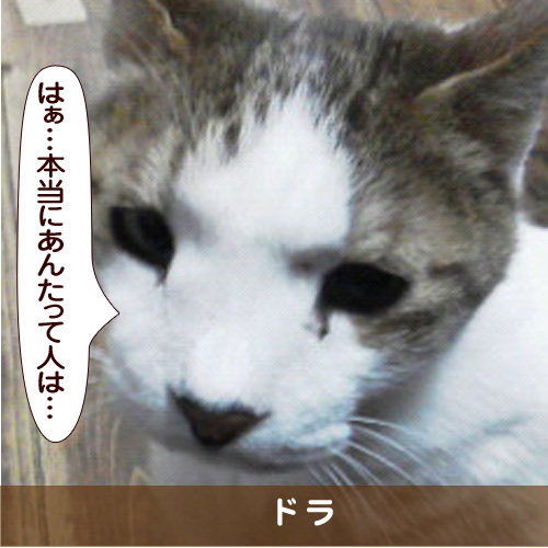 20170620_touko.jpg