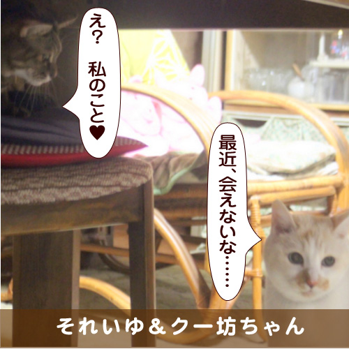 20170627_touko.jpg