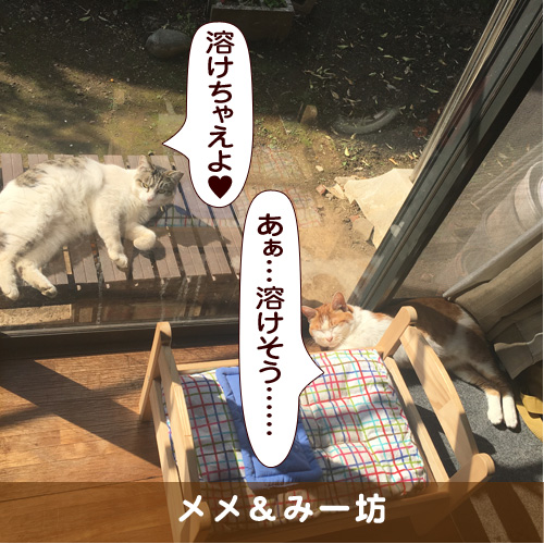 20170628_touko.jpg