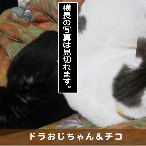 20170630_touko.jpg