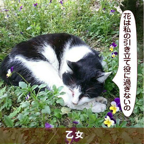 20170702_touko.jpg