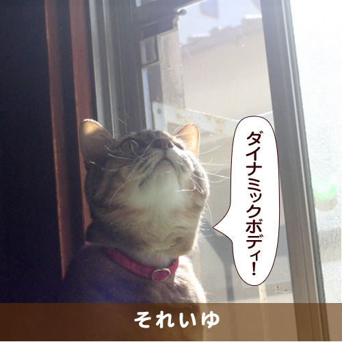 20170706_touko.jpg