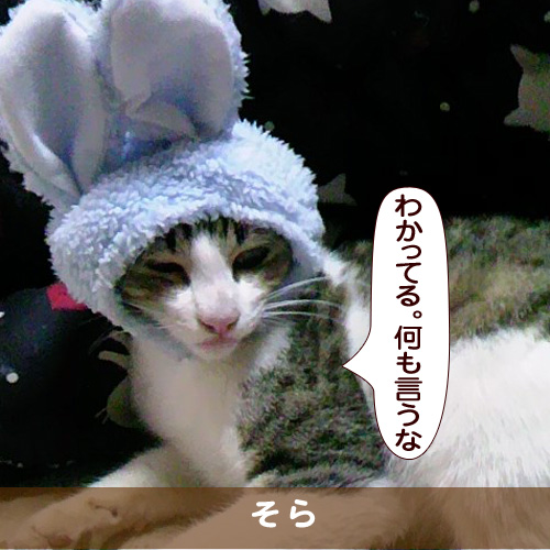 20170707_touko.jpg