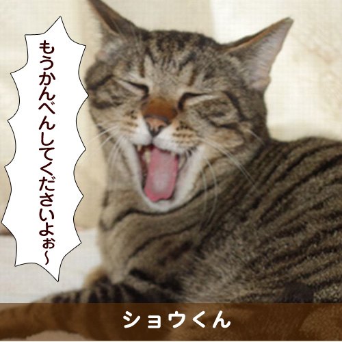 20170708_touko.jpg
