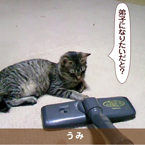 20170710_touko.jpg