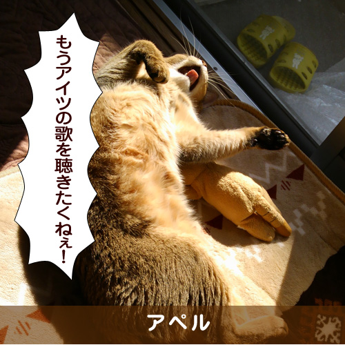 20170712_touko.jpg