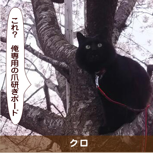 20170715_touko.jpg