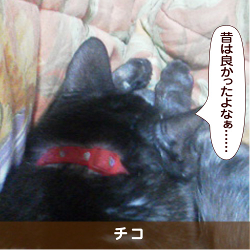 20170717_touko.jpg