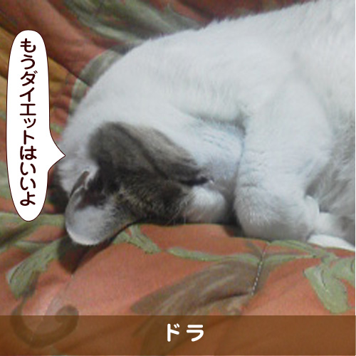 20170718_touko.jpg