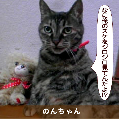 20170719_touko.jpg