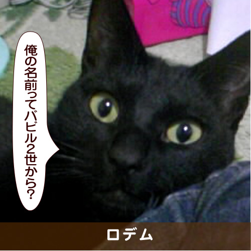 20170721_touko.jpg