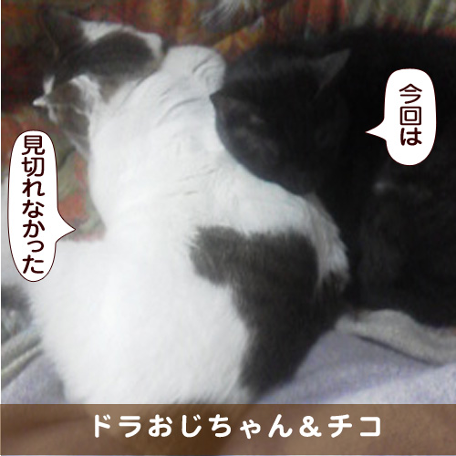 20170726_touko.jpg