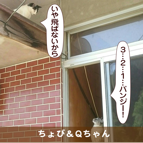 20170729_touko.jpg