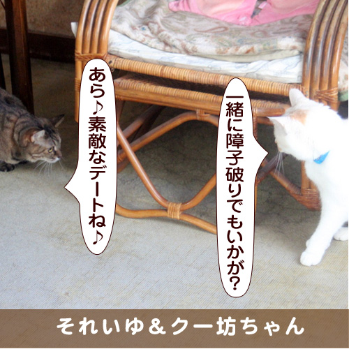 20170730_touko.jpg