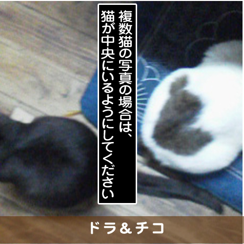 20170731_touko.jpg