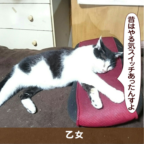 20170804_touko.jpg