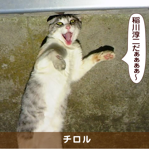 20170805_touko.jpg