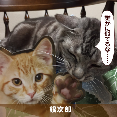 20170807_touko.jpg