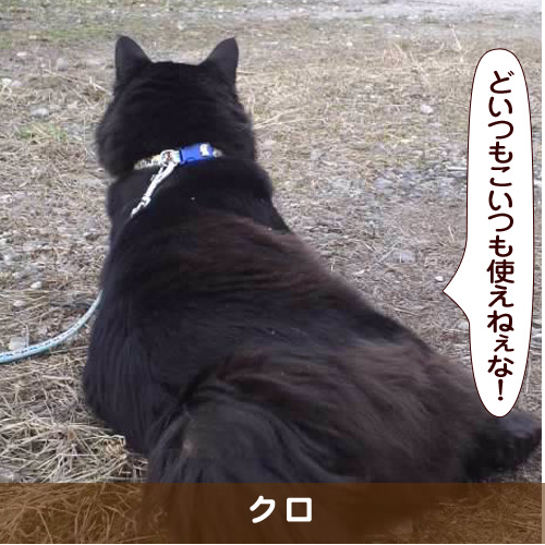 20170808_touko.jpg